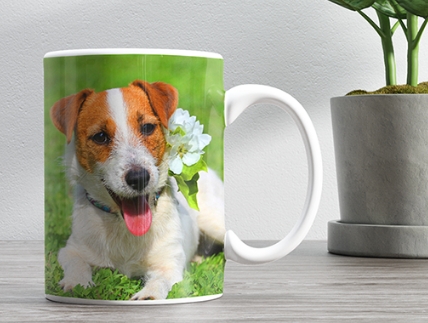 Custom Pet Photo Mugs