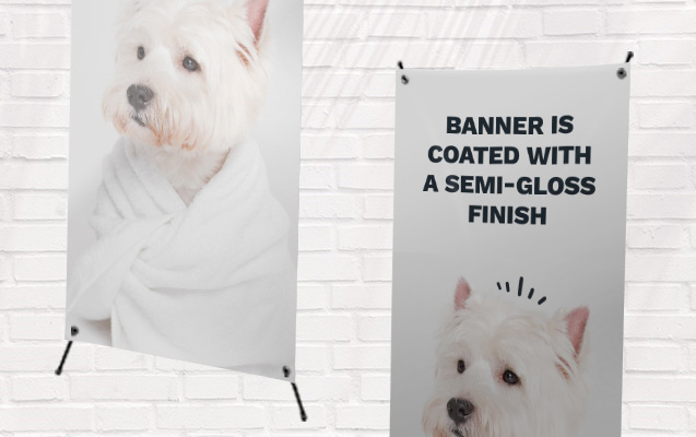 Pet Photo Banner Specifications
