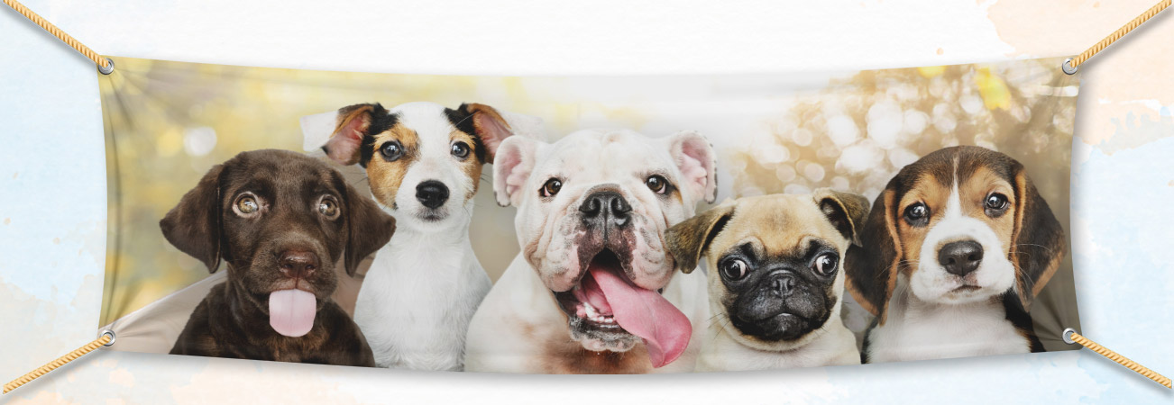 Pet Photo Banners Are Easy To Design And Order