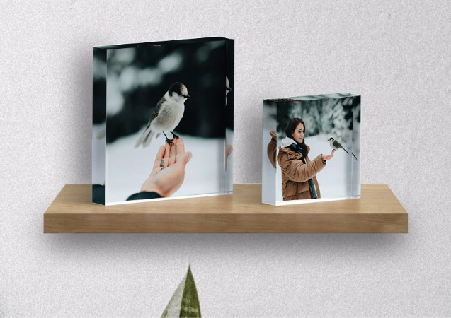 Custom Pet Acrylic Photo Blocks Make Amazing Gifts