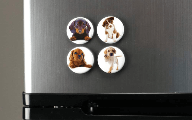 Pet Photo Magnets Are Easy to Design and Order