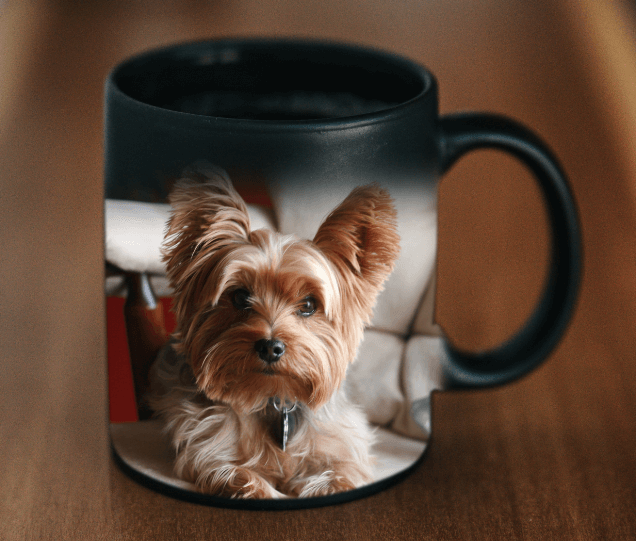 Create a Custom Pet Magic Photo Mug