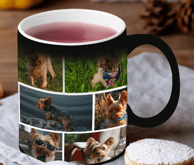 Create a Custom Pet Magic Photo Mug