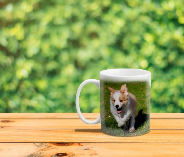 Create a Custom Pet Photo Mug